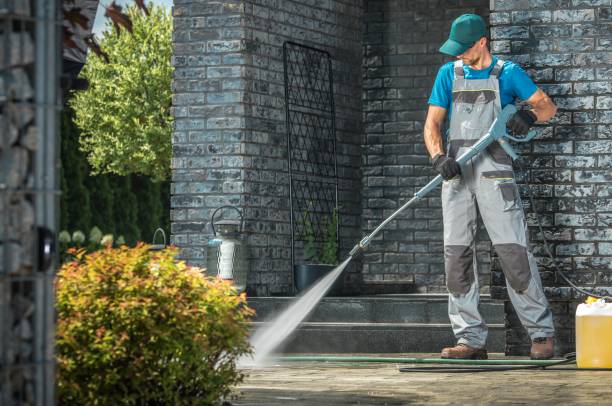 Best Roof Cleaning and Mildew Removal in Solon, IA
