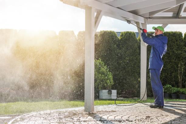 Best Driveway Cleaning and Restoration in Solon, IA